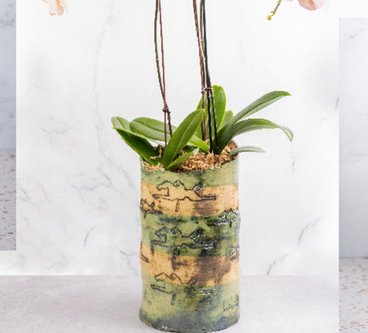 Ceramic Vase for Orchids